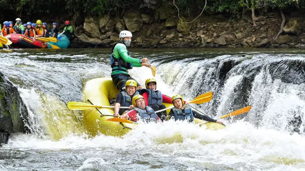 A 1 Hora de São Paulo: Destino Incrível com Cachoeiras, Trilhas e Aventura no Interior 1 cachoeiras perto de São Paulo, trilhas em São Paulo, ecoturismo SP, aventura próximo a São Paulo, destino bate-volta, cidade com cachoeira SP, trilha ecológica interior SP, turismo de natureza SP
Perguntar ao ChatGPT