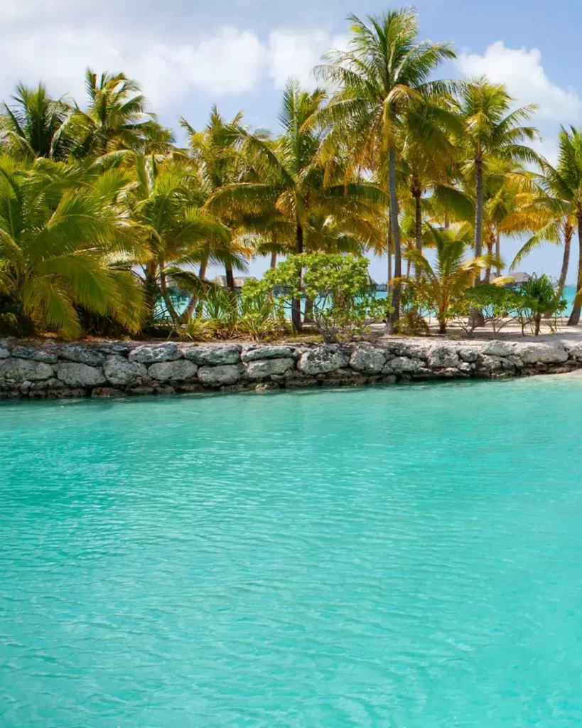 Como funciona o RCI viagens? Guia completo para transformar sua propriedade de férias em experiências incríveis 2 Uma paisagem de praia tropical com palmeiras, água turquesa e uma formação rochosa. Veja como funciona o RCI viagens para encontrar seu paraíso pessoal.