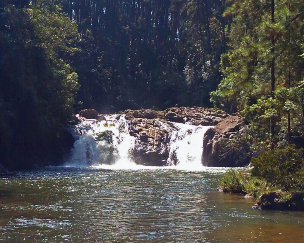 Guia Completo: Cachoeiras em SP de Fácil Acesso 1 Guia Completo: Cachoeiras em SP de Fácil Acesso. Cachoeiras em SP fácil acesso: Descubra os melhores refúgios para um bate e volta perfeito. Encontre trilhas curtas e lugares incríveis perto da capital paulista. Planeje sua aventura agora mesmo.