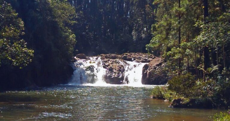 Guia Completo: Cachoeiras em SP de Fácil Acesso