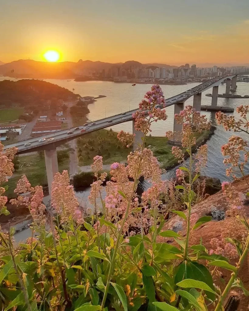 10 coisas para fazer no Morro do Moreno: guia completo para aproveitar ao máximo sua visita 5 Vista panorâmica do Morro do Moreno com a Terceira Ponte e Vila Velha.