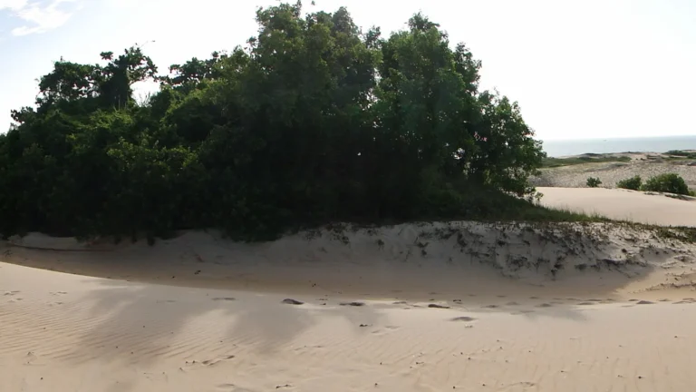 Dunas de Itaúnas em Conceição da Barra (ES), cenário do Festival Itaúnas & Sabores